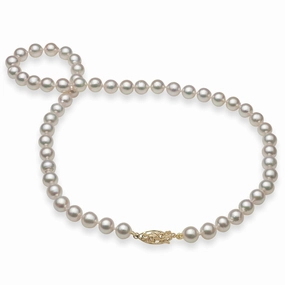 Fixed Size Accessory Minimalist Piece 18-19" Akoya White Pearl Strand with Gold Clasp - 7-8mm