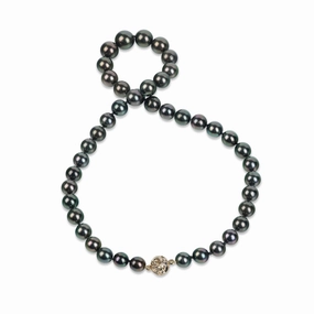 Warm Style Polished Piece 18-20" Tahitian Black Pearl Strand with Magnetic Gold Clasp - 8-12mm