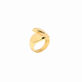 Day To Night The Dune II ?C Two Half Gold Ring