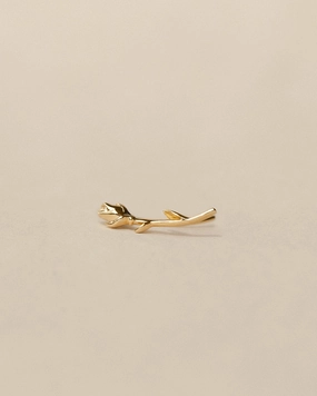 Artistic Decoration Rose Ear Climber