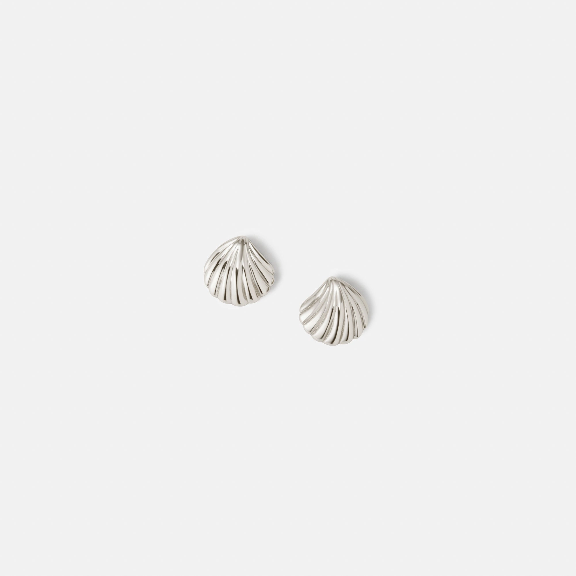Baby Seashell Studs Beautiful Accent