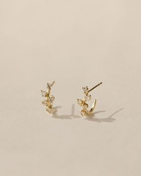 Large Trinket Dewdrop Hoops