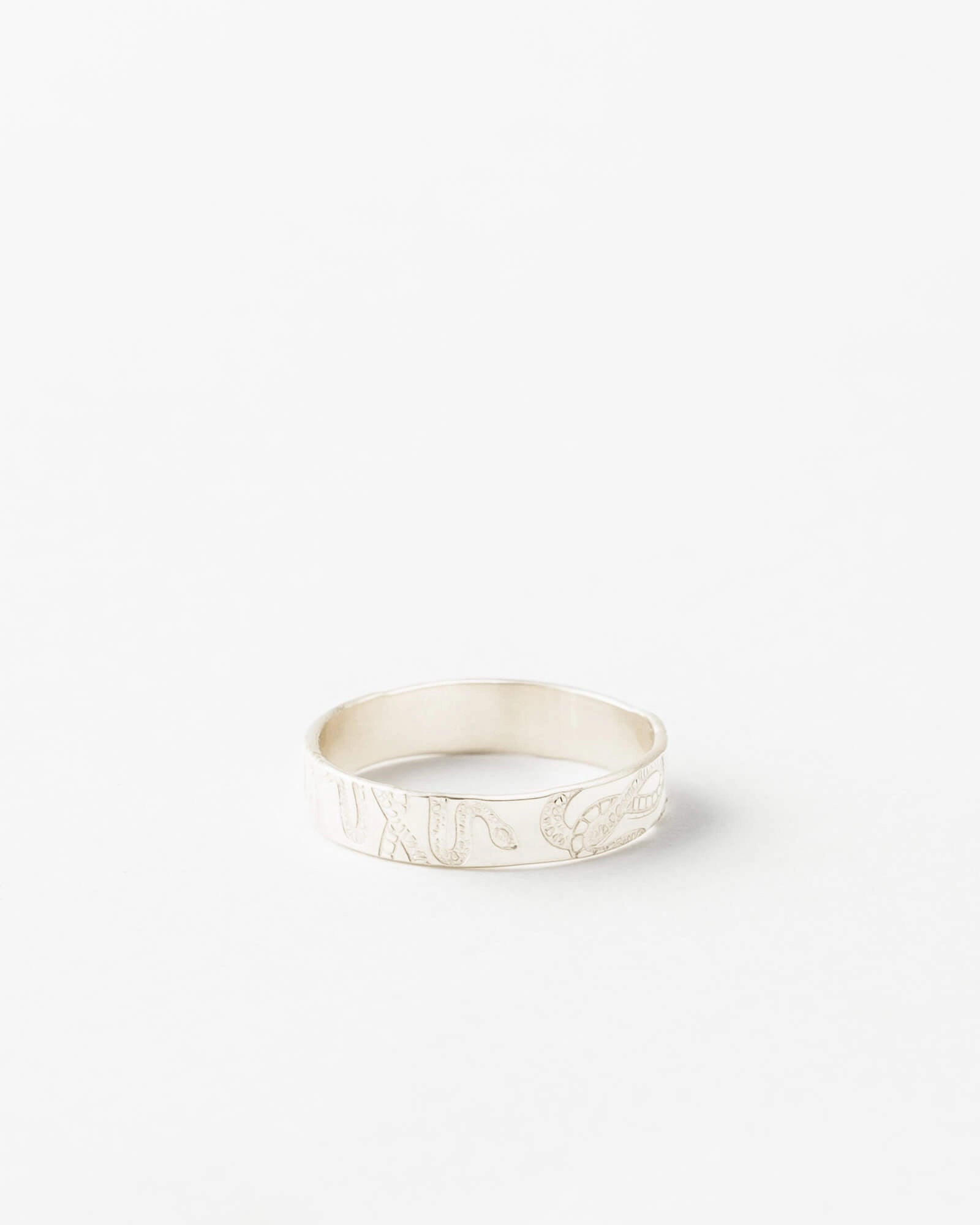 Modern Mark Snake Meuse Band