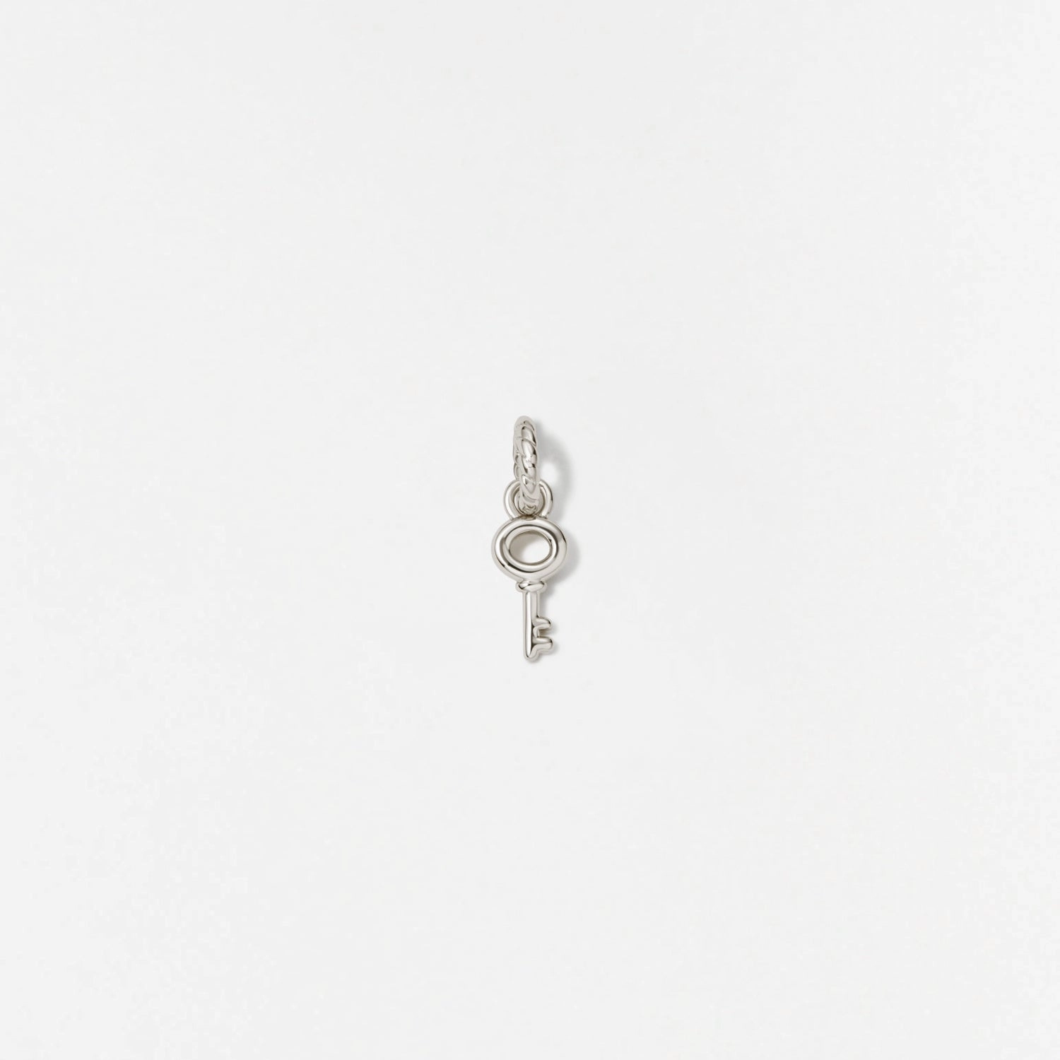 Personal Accent Ideal Adornment Skeleton Key Charm