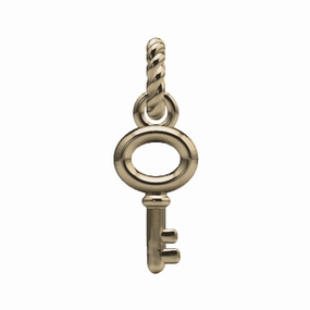 Pretty Design Fashion Detail Skeleton Key Charm