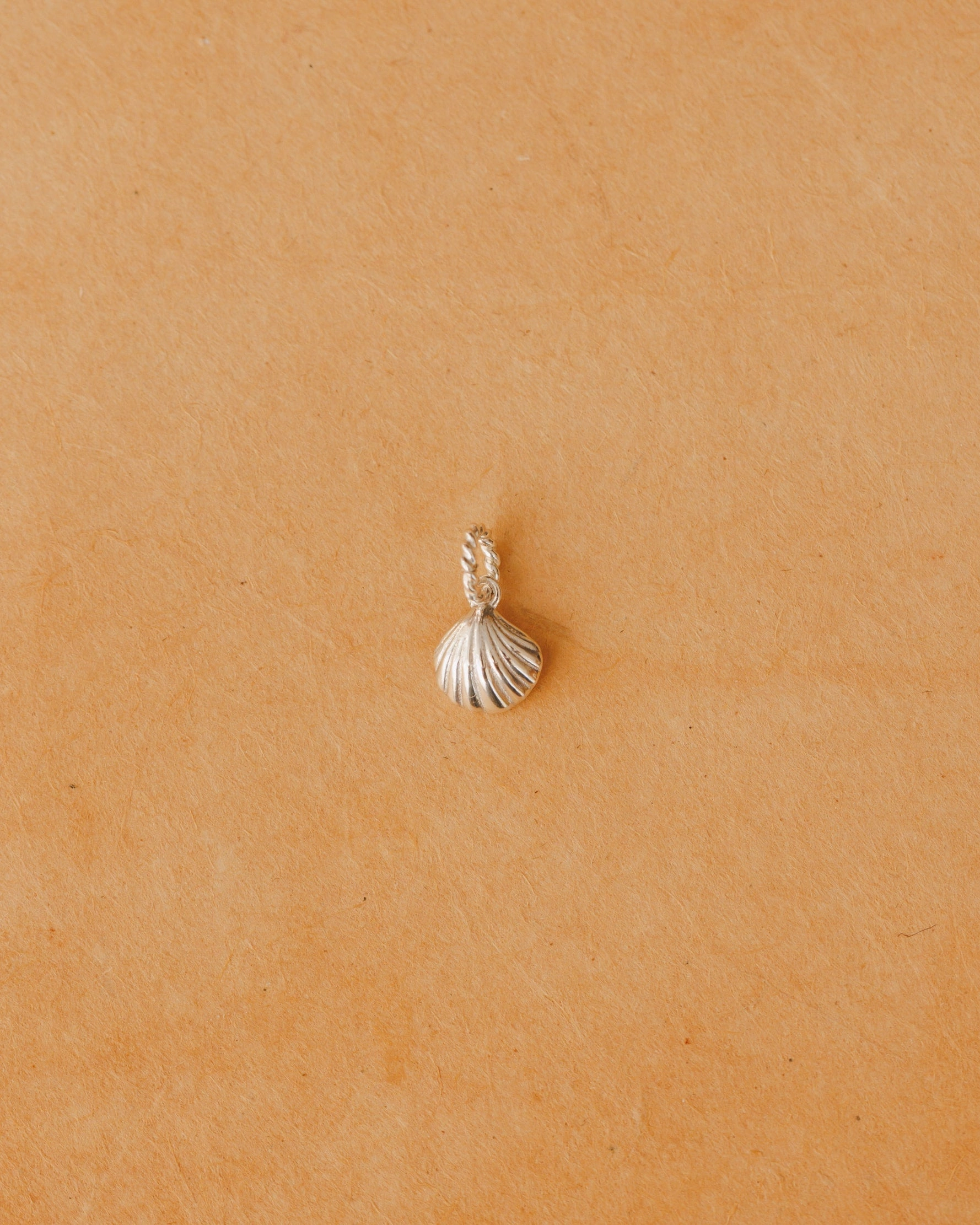 Seashell Charm Hooked Jewelry