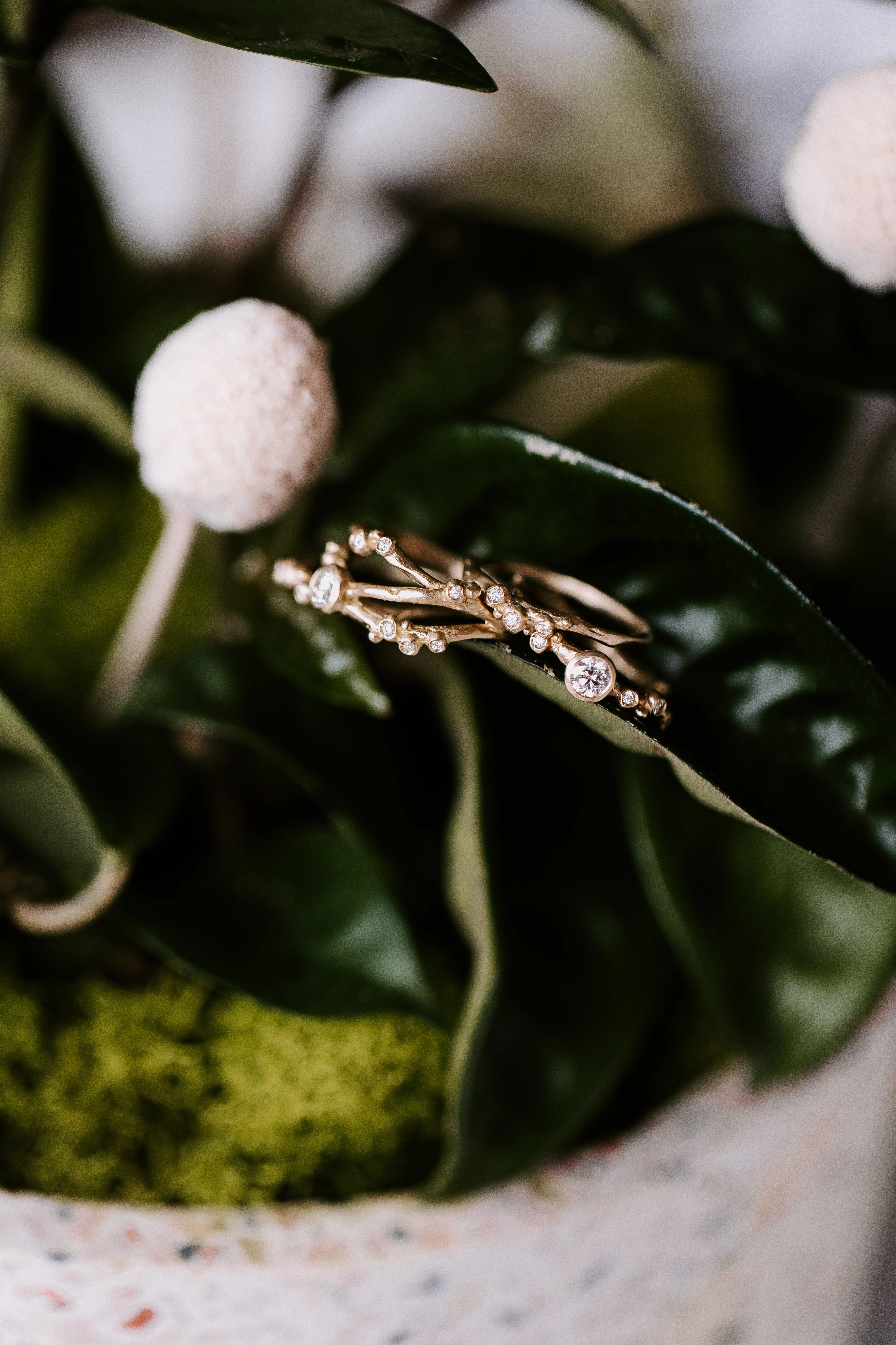 Encrusted 1 Branch Solitaire Diamond Ring - 14k Gold   Diamonds Casual Gift Timeless Piece