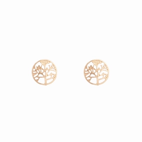 Fashionable Finish Gold Tree Of Life Stud Earrings