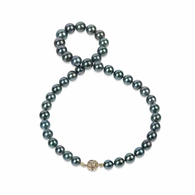 Classic Item 17-19" Tahitian Black Pearl Strand with Magnetic Gold Clasp - 8-11mm