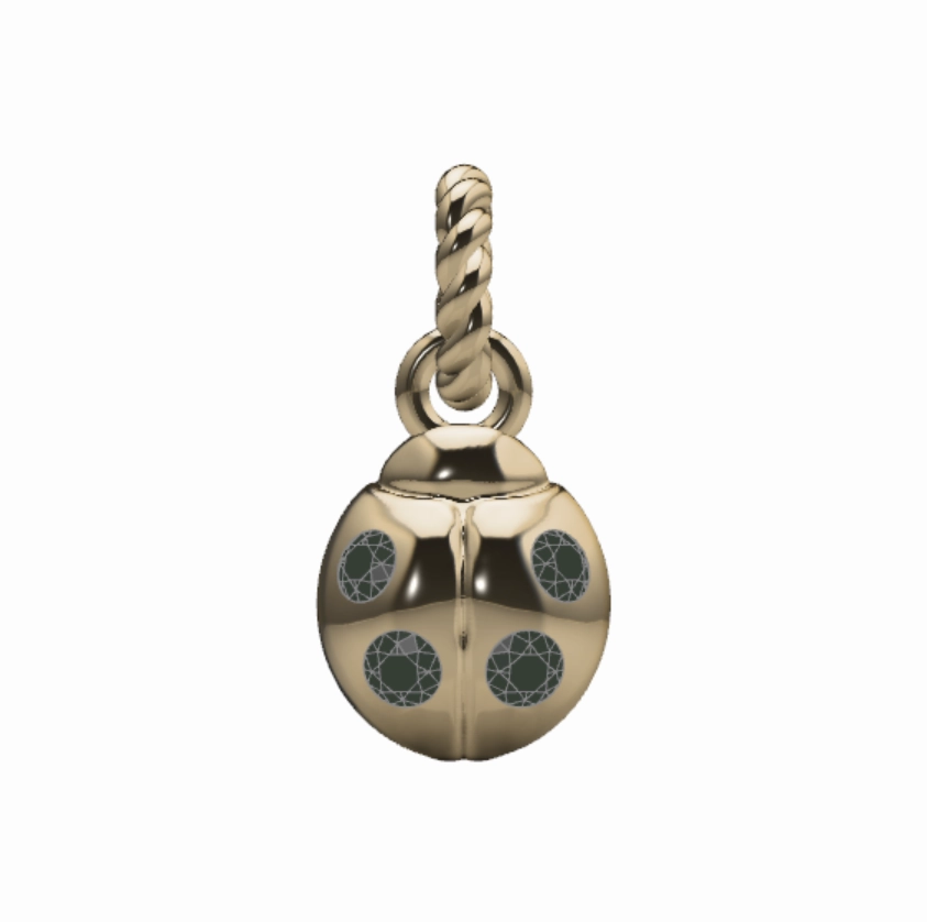 For Confidence Weekend Style Ladybug Charm