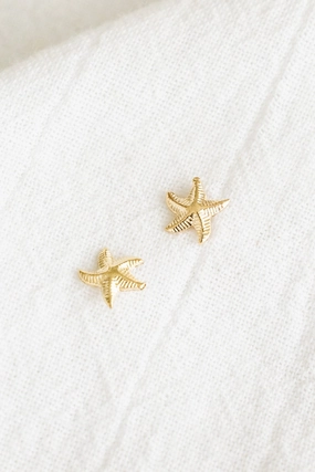 Curvy Starfish Studs Sturdy Look Attractive Must-Have