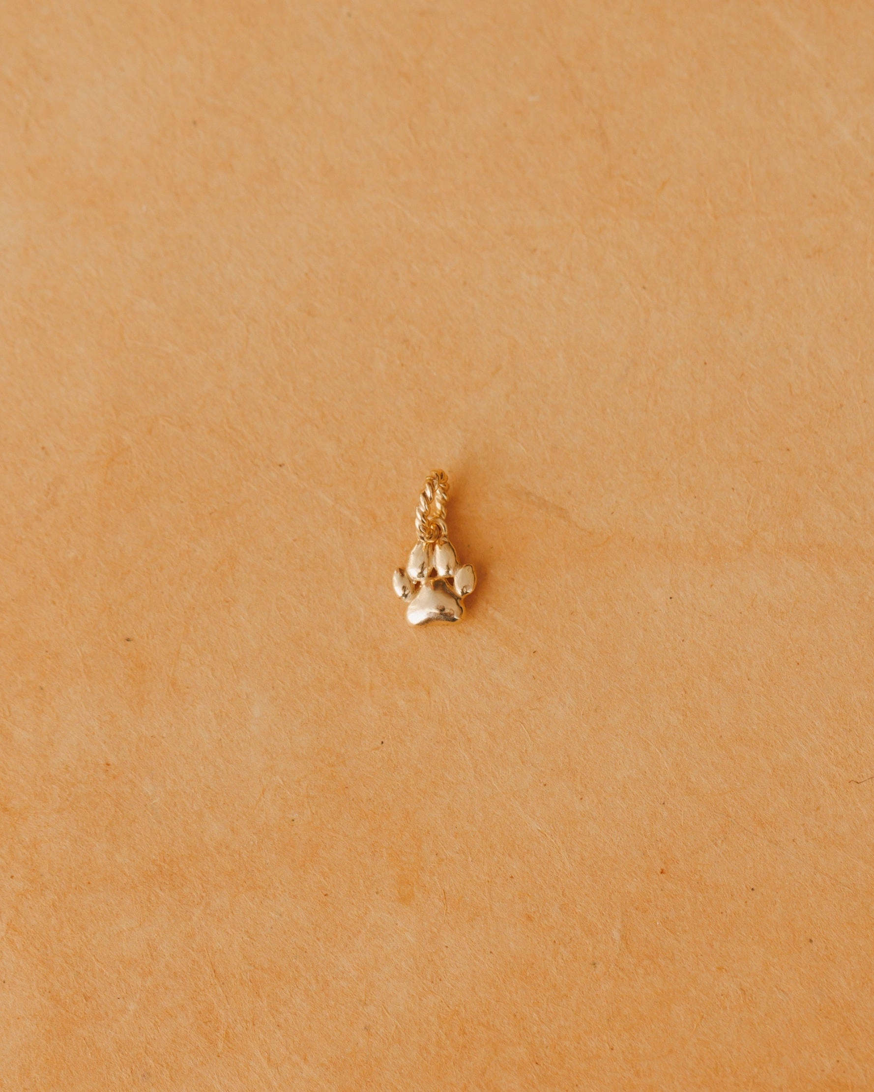 Puppy Paw Charm For University