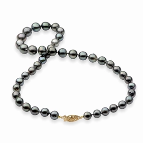 Daily Detail Gift Choice 18-19" Tahitian Black Pearl Strand with Gold Clasp - 8-11mm