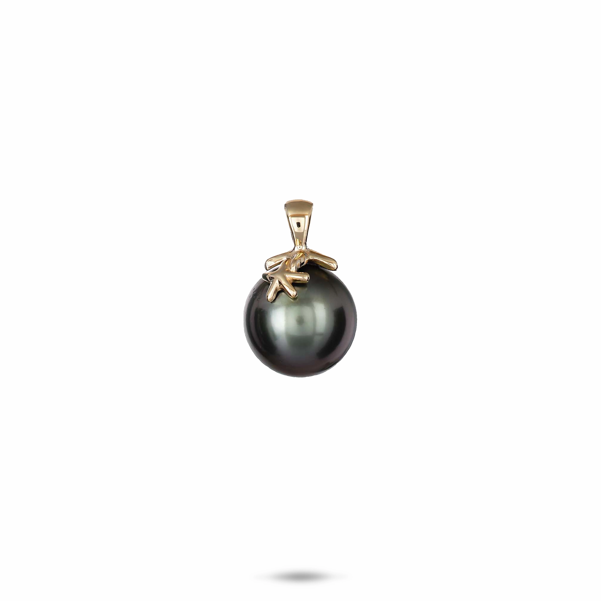 Formal Accent for protection Reefs Starfish Tahitian Black Pearl Pendant in Gold - 10-11mm
