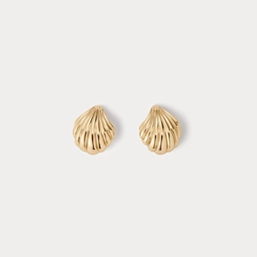 Seashell Studs Stylish Option