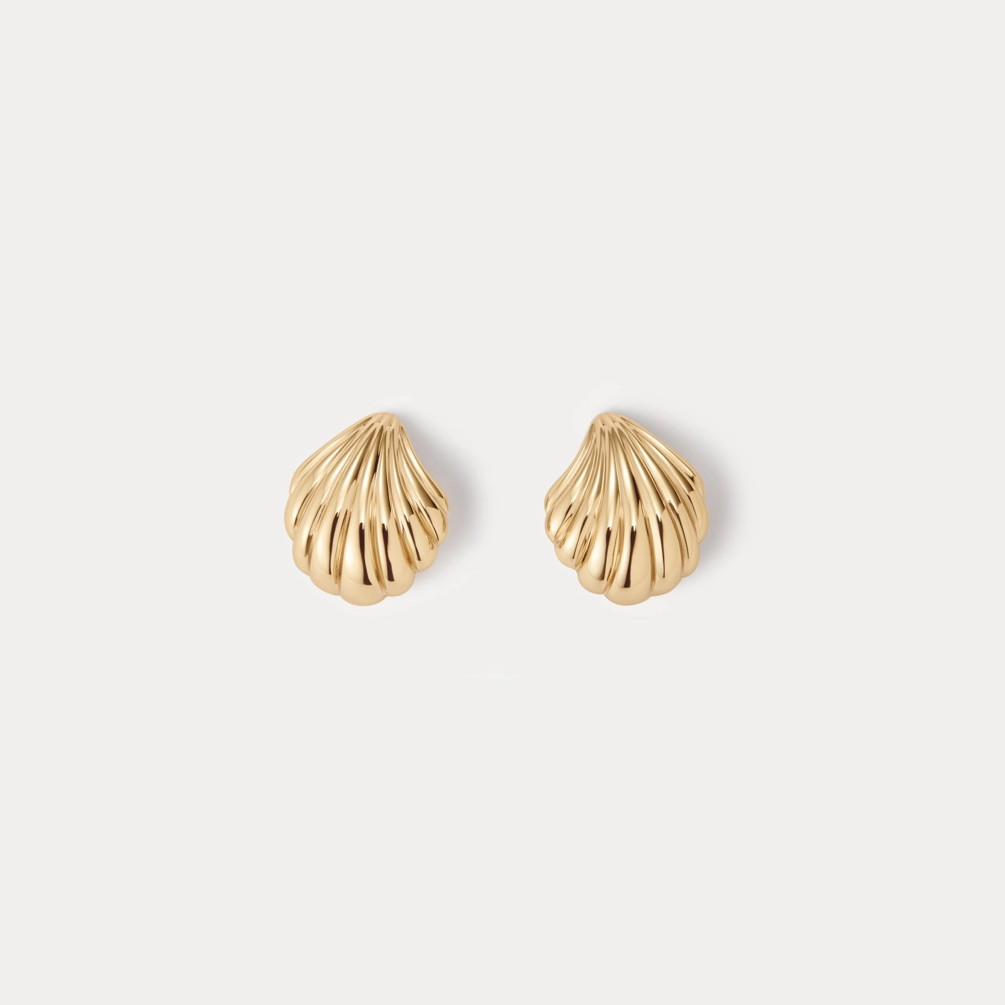Seashell Studs Stylish Option