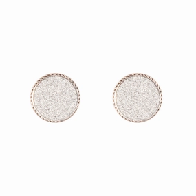 Silver Glitter Inlay Disc Earrings Classic Style Luminous Finish
