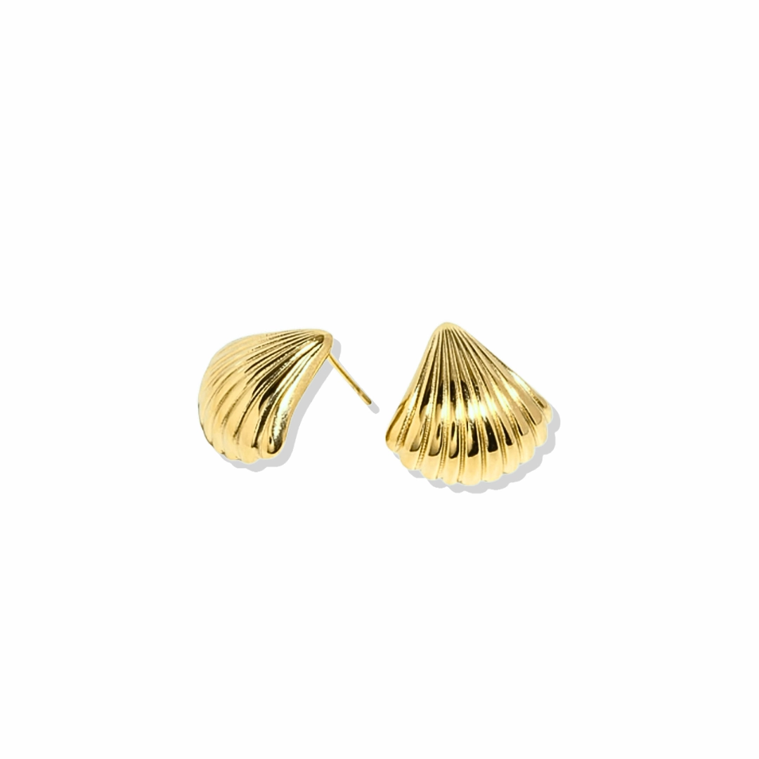 Small Golden Shell Earrings Traditional Craft