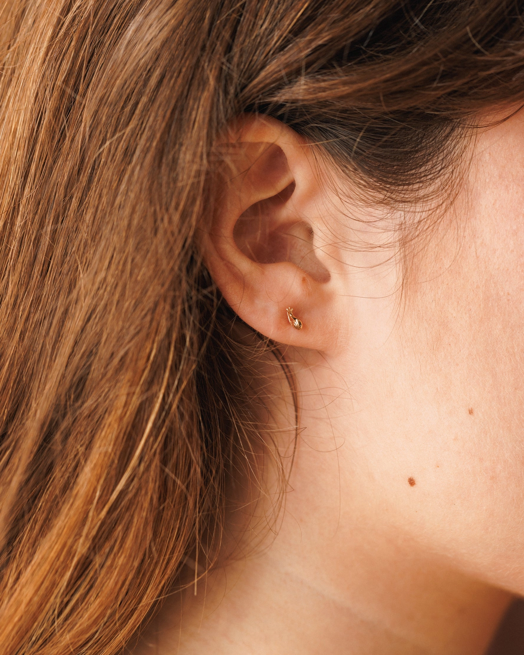 Snail Studs Contemporary Essential