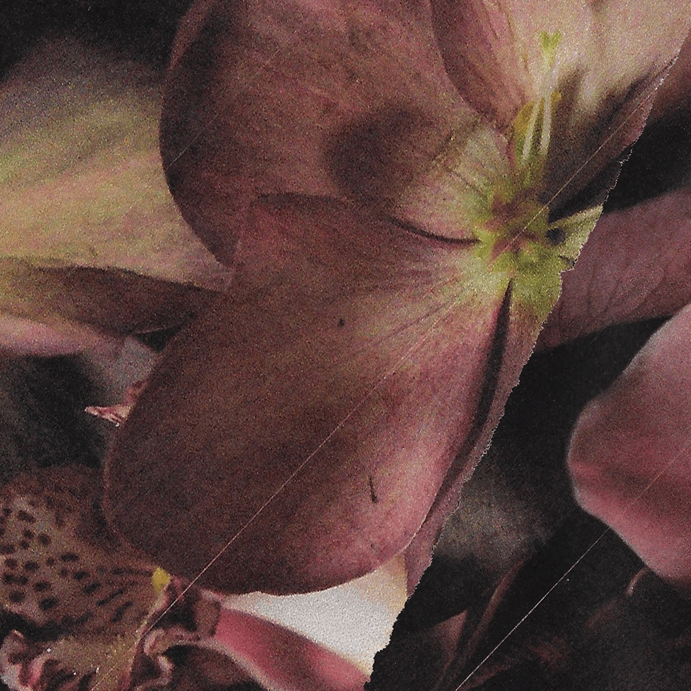 Big Adornment Secure Feature Summer Haiku Studs