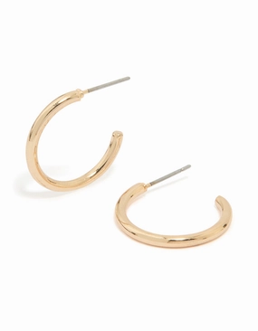 Distinctive Detail Travel Ready Gold Small Plain Hoop Earrings