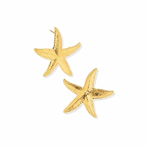 Substantial Embellishment Coral ?C Starfish Golden Stud Earrings