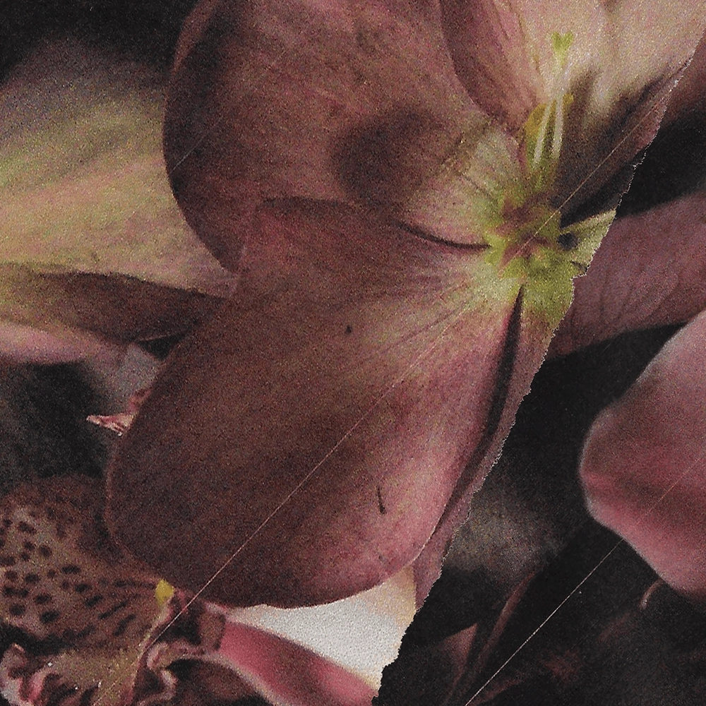 Winter Haiku Studs Trendy Must-Have High-Quality Choice